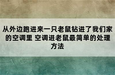 从外边跑进来一只老鼠钻进了我们家的空调里 空调进老鼠最简单的处理方法